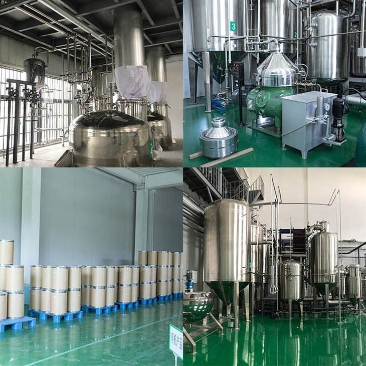 Lychee Fruit Powder factory